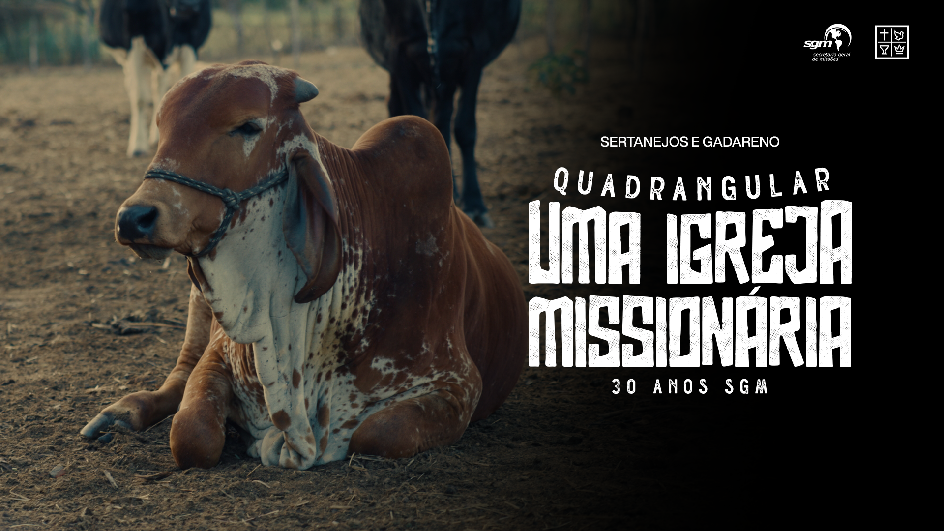 Sertanejos e Gadareno - 30 ANOS SGM